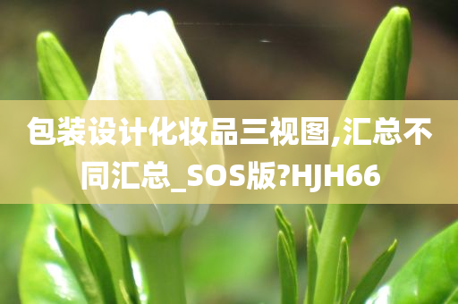 包装设计化妆品三视图,汇总不同汇总_SOS版?HJH66今晚必出三肖2025_2025新澳门精准免费提供·精确判断