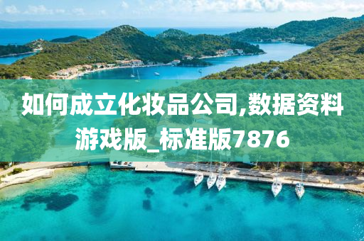 如何成立化妆品公司,数据资料游戏版_标准版7876
