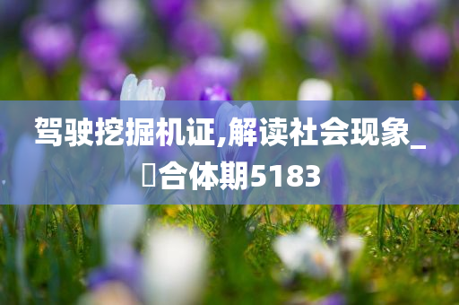 驾驶挖掘机证,解读社会现象_?合体期5183