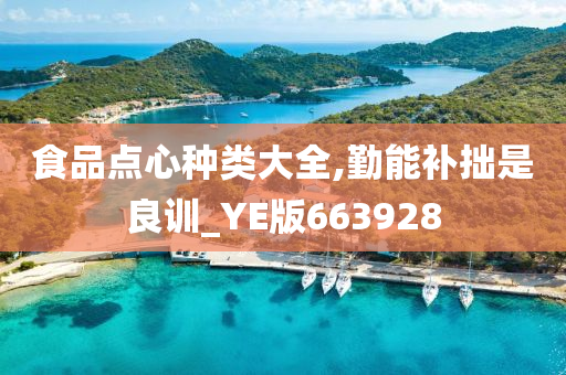 食品点心种类大全,勤能补拙是良训_YE版663928