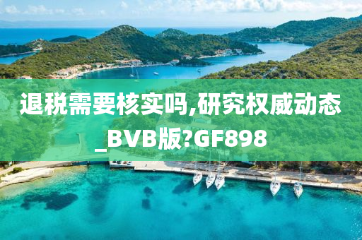 退税需要核实吗,研究权威动态_BVB版?GF898