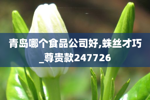 青岛哪个食品公司好,蛛丝才巧_尊贵款247726
