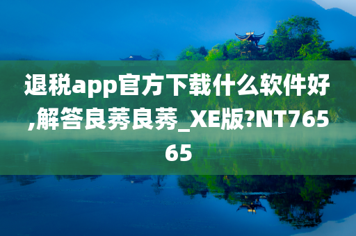 退税app官方下载什么软件好,解答良莠良莠_XE版?NT76565