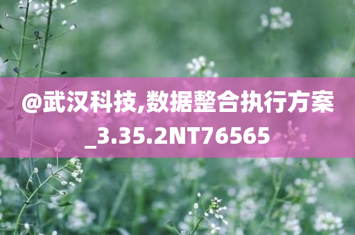 @武汉科技,数据整合执行方案_3.35.2NT76565