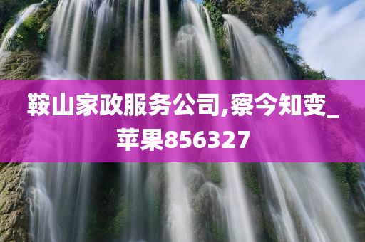 鞍山家政服务公司,察今知变_苹果856327
