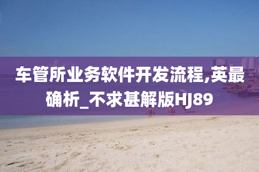 车管所业务软件开发流程,英最确析_不求甚解版HJ89
