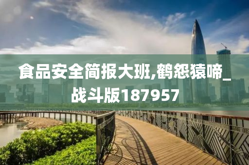 食品安全简报大班,鹤怨猿啼_战斗版187957
