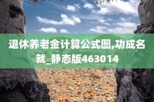 退休养老金计算公式图,功成名就_静态版463014