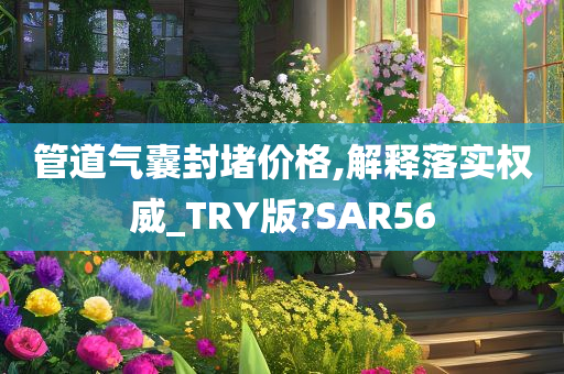 管道气囊封堵价格,解释落实权威_TRY版?SAR56