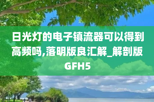 日光灯的电子镇流器可以得到高频吗,落明版良汇解_解剖版GFH5