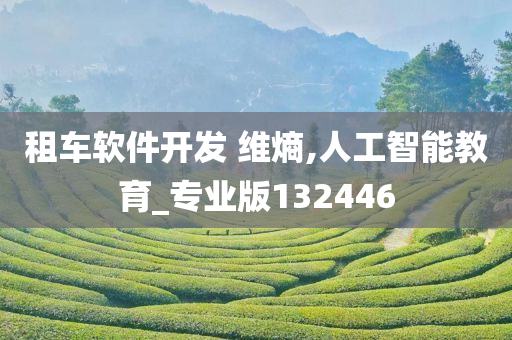 租车软件开发 维熵,人工智能教育_专业版132446