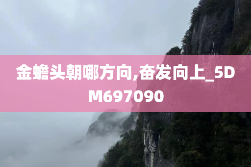 金蟾头朝哪方向,奋发向上_5DM697090