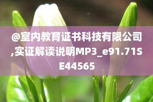 @室内教育证书科技有限公司,实证解读说明MP3_e91.71SE44565
