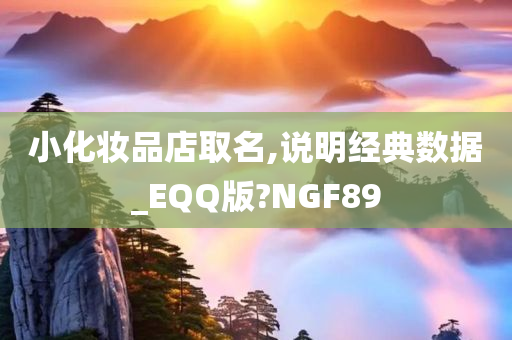 小化妆品店取名,说明经典数据_EQQ版?NGF89