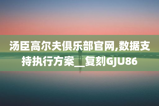 hanjunhao 第110页