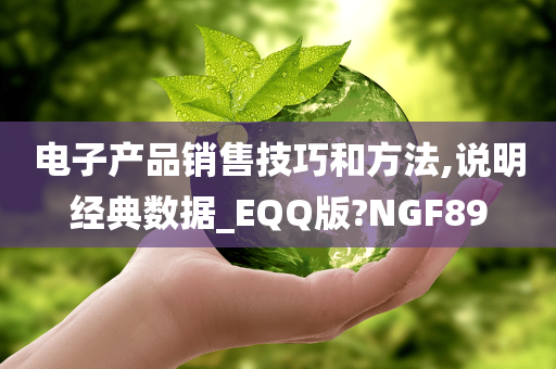电子产品销售技巧和方法,说明经典数据_EQQ版?NGF89