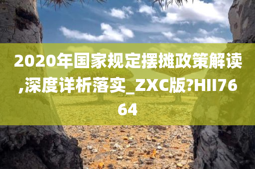 2020年国家规定摆摊政策解读,深度详析落实_ZXC版?HII7664