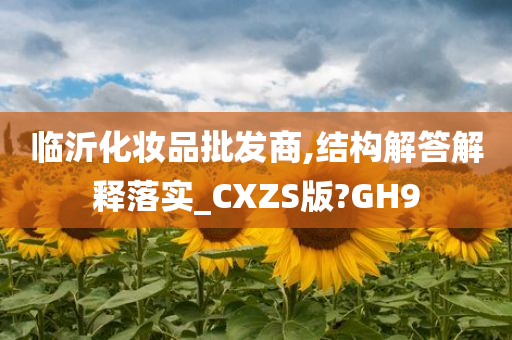 临沂化妆品批发商今晚必出三肖2025_2025新澳门精准免费提供·精确判断,结构解答解释落实_CXZS版?GH9
