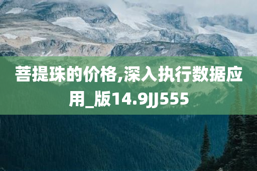 菩提珠的价格,深入执行数据应用_版14.9JJ555