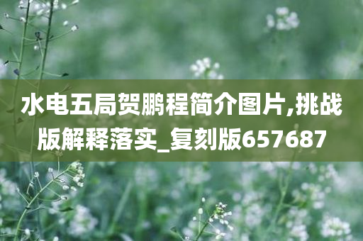 水电五局贺鹏程简介图片,挑战版解释落实_复刻版657687