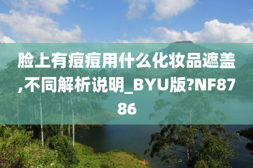 脸上有痘痘用什么化妆品遮盖,不同解析说明_BYU版?NF8786