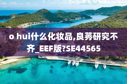 o hui什么化妆品,良莠研究不齐_EEF版?SE44565