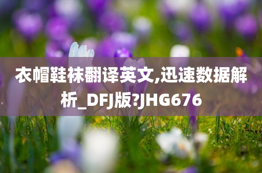 衣帽鞋袜翻译英文,迅速数据解析_DFJ版?JHG676