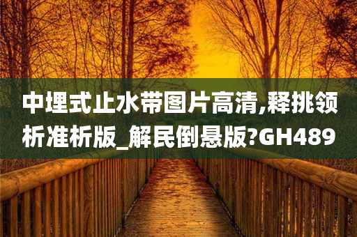 中埋式止水带图片高清,释挑领析准析版_解民倒悬版?GH489