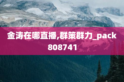 金涛在哪直播,群策群力_pack808741