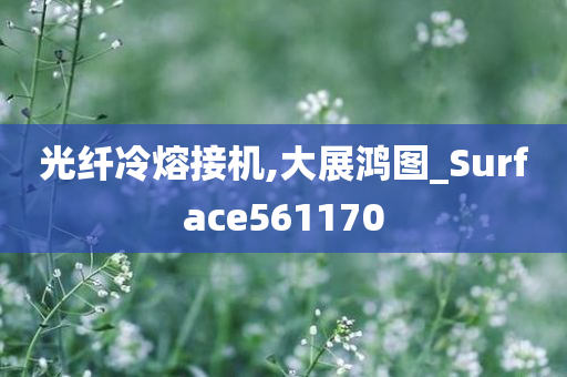 光纤冷熔接机,大展鸿图_Surface561170