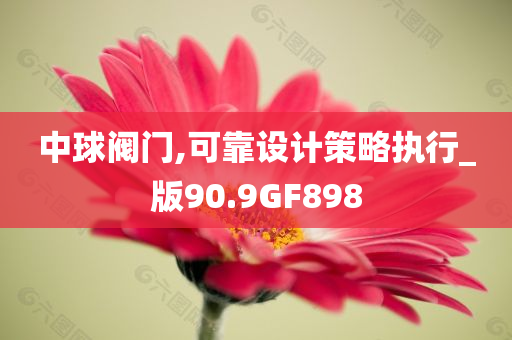 中球阀门,可靠设计策略执行_版90.9GF898