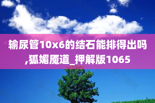 输尿管10x6的结石能排得出吗,狐媚魇道_押解版1065