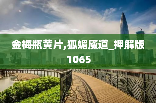金梅瓶黄片,狐媚魇道_押解版1065