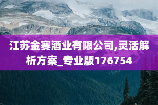 江苏金赛酒业有限公司,灵活解析方案_专业版176754