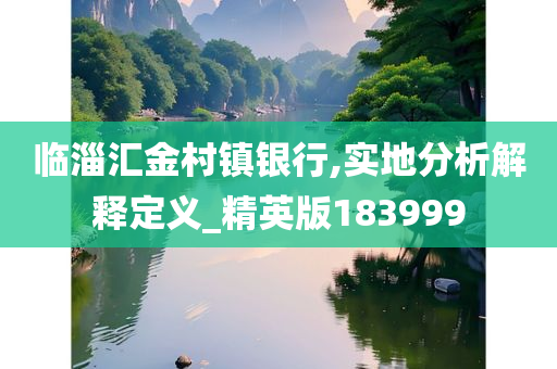 临淄汇金村镇银行,实地分析解释定义_精英版183999