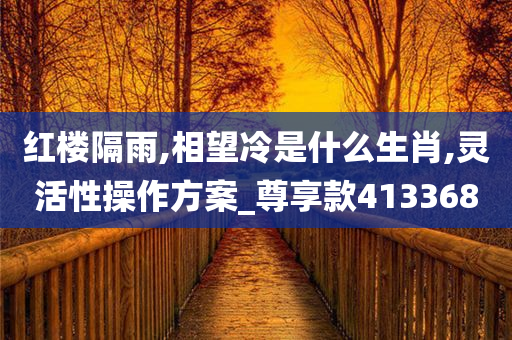 红楼隔雨,相望冷是什么生肖,灵活性操作方案_尊享款413368