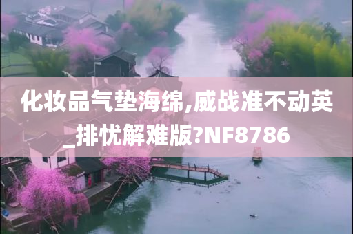 化妆品气垫海绵,威战准不动英_排忧解难版?NF8786