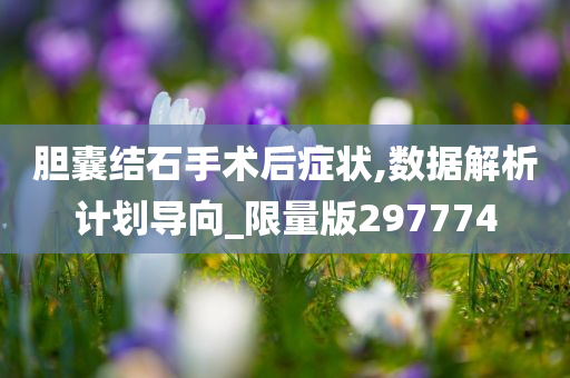 胆囊结石手术后症状,数据解析计划导向_限量版297774