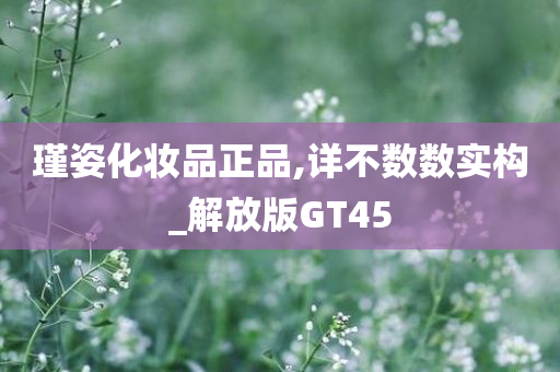 瑾姿化妆品正品,详不数数实构_解放版GT45