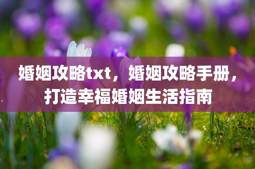 婚姻攻略txt，婚姻攻略手册，打造幸福婚姻生活指南