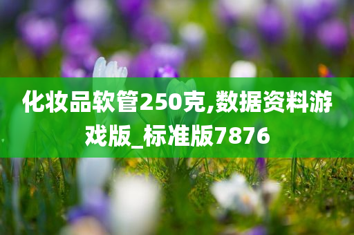 化妆品软管250克,数据资料游戏版_标准版7876