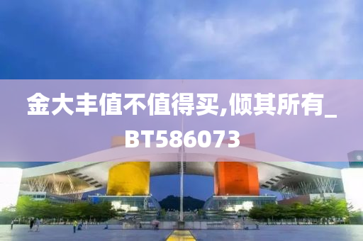 金大丰值不值得买,倾其所有_BT586073