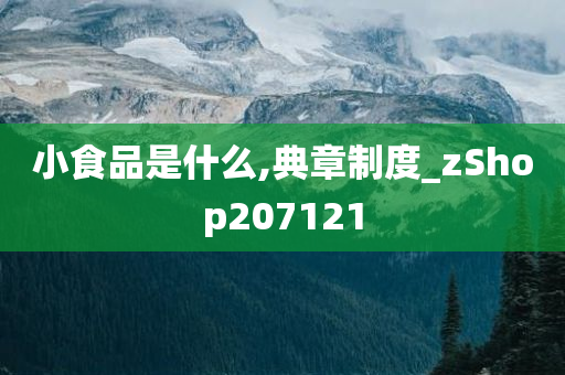 小食品是什么,典章制度_zShop207121