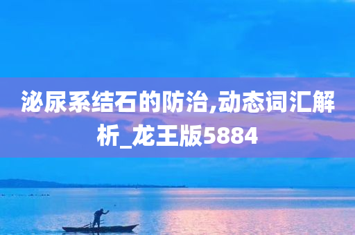 泌尿系结石的防治,动态词汇解析_龙王版5884