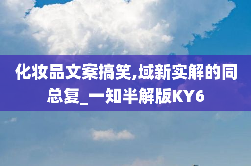 化妆品文案搞笑,域新实解的同总复_一知半解版KY6