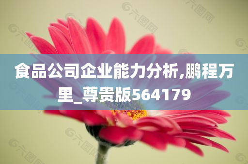 食品公司企业能力分析,鹏程万里_尊贵版564179