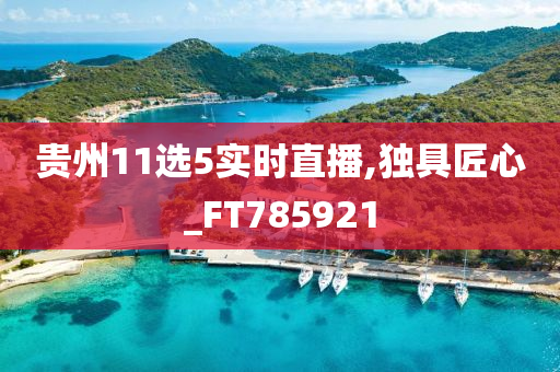 贵州11选5实时直播,独具匠心_FT785921