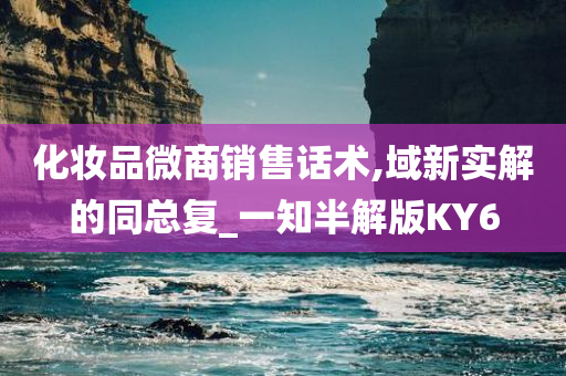 化妆品微商销售话术,域新实解的同总复_一知半解版KY6