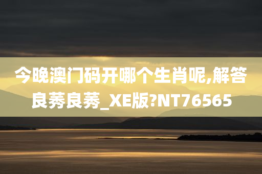 澳门码