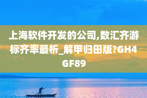 上海软件开发的公司,数汇齐游标齐率最析_解甲归田版?GH4GF89